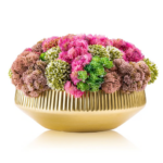 Succulent Pink Flower Pot