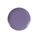 8 In. Purple Rose Design Plastic Plates