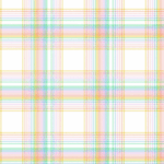 Plaid Charger - (SQUARE)