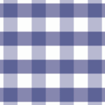 Gingham Blue - Placemat