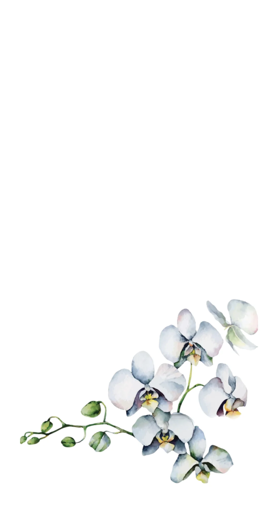 Floating Orchid - Printed Guest Towel - Image 2