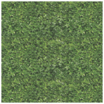 Hampton Hedge Charger - (SQUARE)