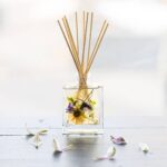 4oz Botanical Reed Diffuser - Vanilla Rain